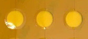 XRF-KAPTON-WINDOW-3-HRZ
